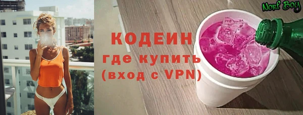 PSILOCYBIN Ельня