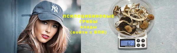 Альфа ПВП Дмитров