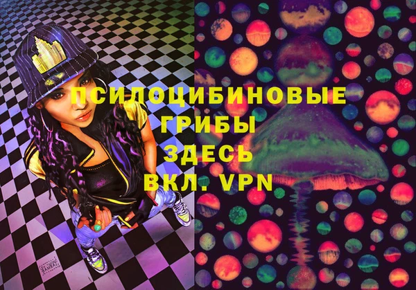 дмт Дмитриев