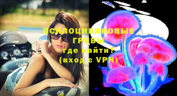 дмт Дмитриев