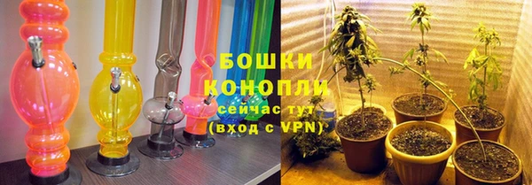 PSILOCYBIN Ельня