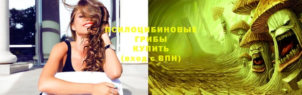 дживик Видное