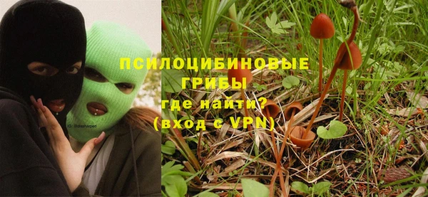 бошки Дмитровск