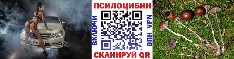 Псилоцибиновые грибы MAGIC MUSHROOMS  Купить где  Мамадыш 